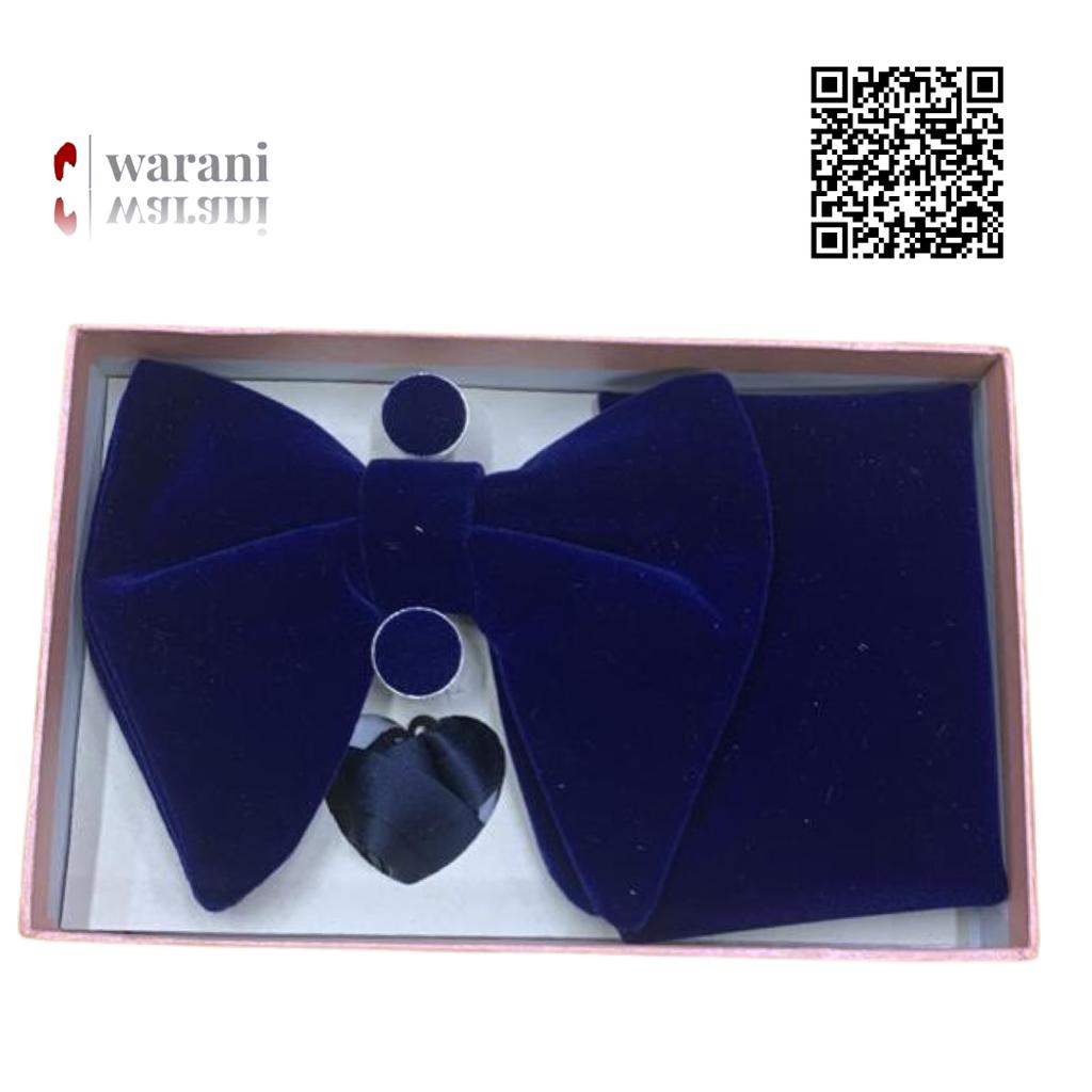 Cravate papillon bleue nuit